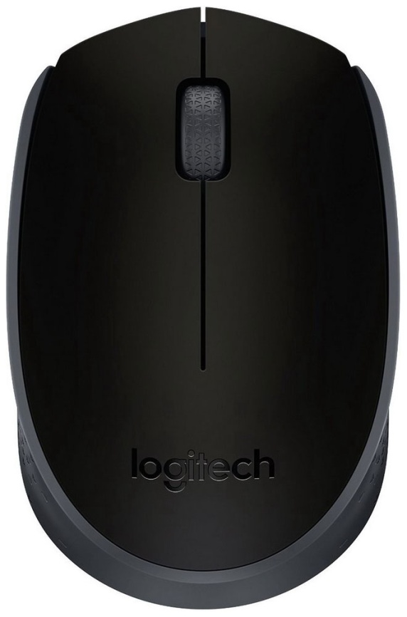 Мышь Logitech M 171 Black 910-004424 фото 1